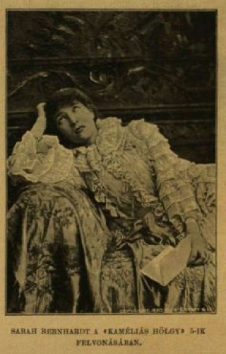 1888 november (2. rész)