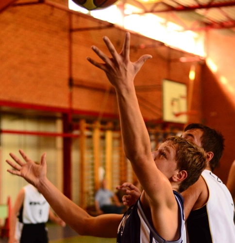 BLF Palota - Elite Basket Törökbálint 85 - 62