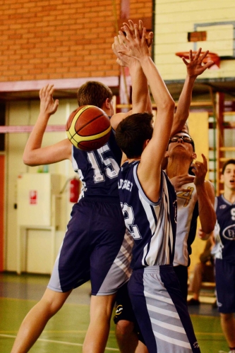 BLF Palota - Elite Basket Törökbálint 85 - 62