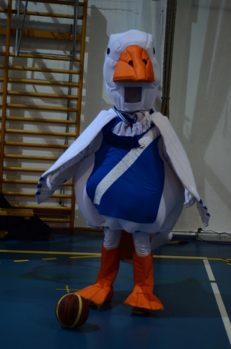 MTK - Eger 87-72 (2013. 03. 23.)