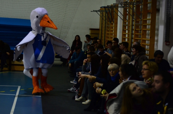 MTK - Eger 87-72 (2013. 03. 23.)
