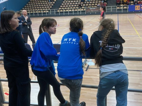 TFSE-MTK - DVTK