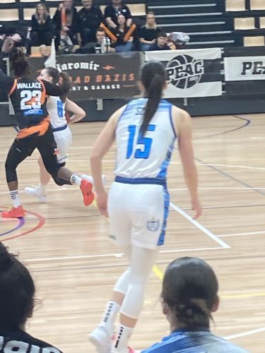 MTK-TFSE - Pécs