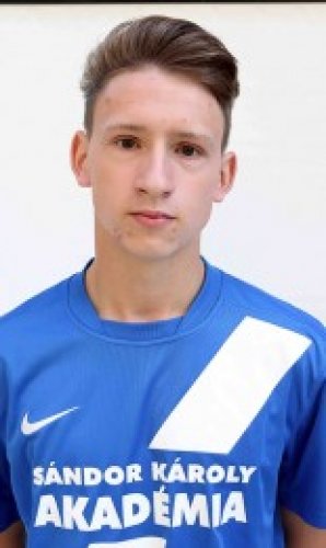 Bacsó Attila