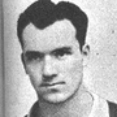 Bogdan, Ion