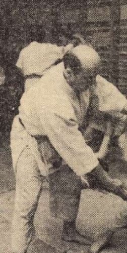 Csánó Zoltán