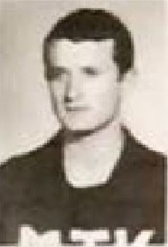 Csákány János