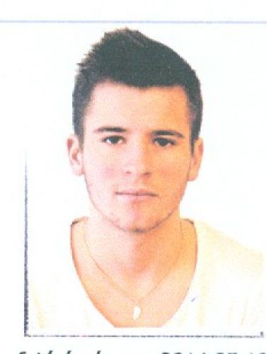 Danielisz László