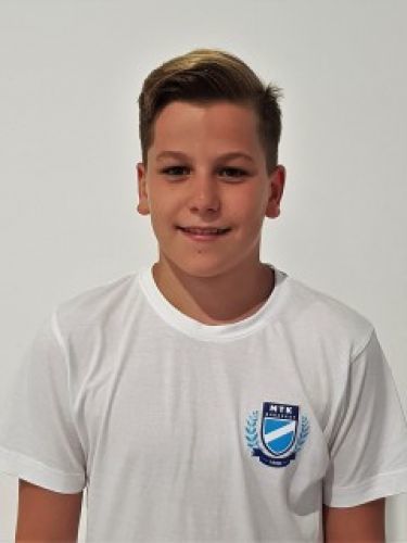 Gábor Patrik