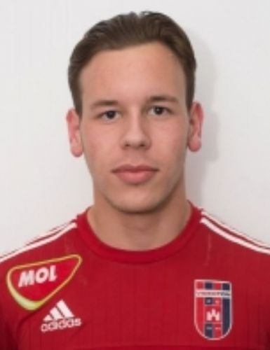 Grúber Szilárd