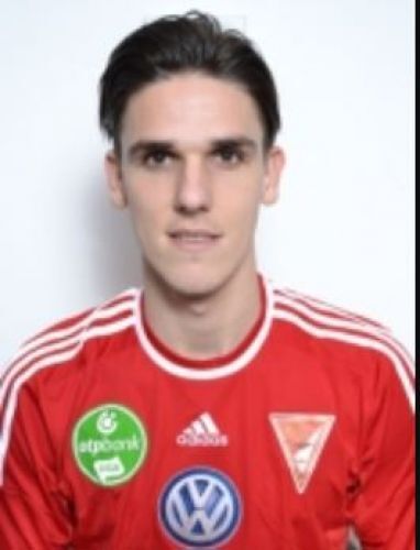 Holman Dávid