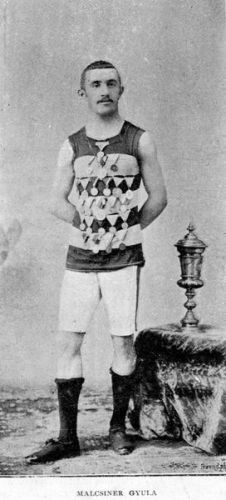 Malcsiner Gyula