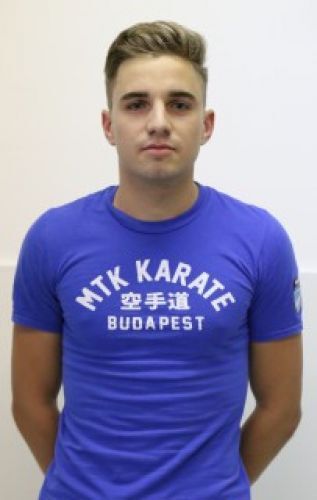 Málnai Áron