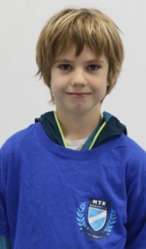 Mechler András