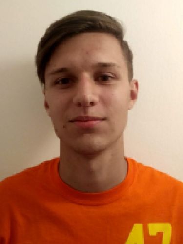 Mészáros Tibor