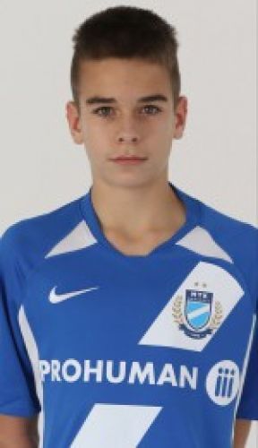 Mészáros Viktor