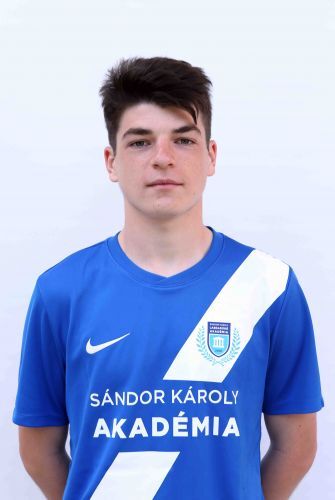 Mogyorosi Viktor Lajos