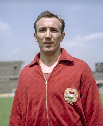 Nagy István