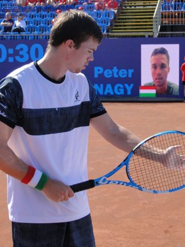 Nagy Péter