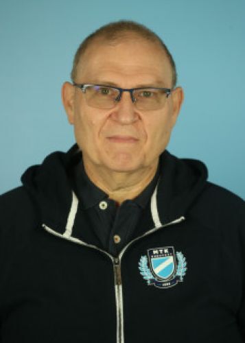 Palotás István
