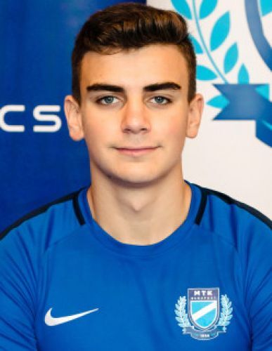 Siklódi Máté Endre