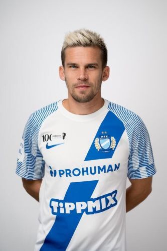 Stieber Zoltán
